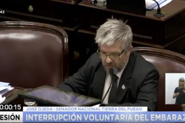 En pleno debate por el aborto, Ojeda cruzó a Boyadjian por intentar presionar para que cambie su voto