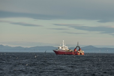 Yaganes: un tesoro marino que buscan proteger en el Sur