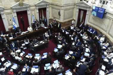 Senado: Boyadjian, Catalán Magni y Ojeda votaron a favor de la reforma previsional