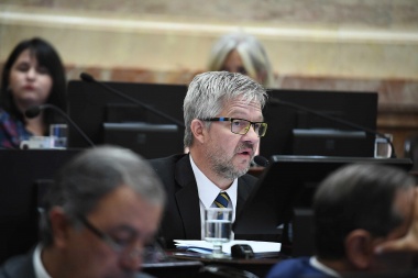 El Senado aprobó la reforma del mercado de capitales: “Recibió modificaciones necesarias” dijo Ojeda