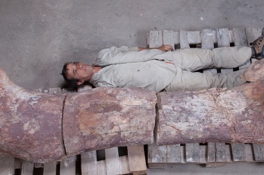 'Patagotitan', el megadinosaurio que vivió hace 101 millones de años en la Patagonia