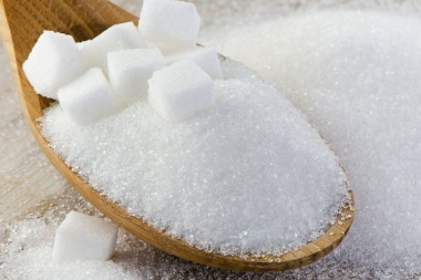 Especialistas del Conicet opinan acerca del consumo de azúcar