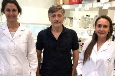 Científicos del CONICET descubren nuevas conexiones para luchar contra el cáncer