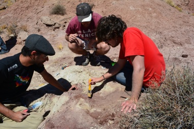Descubren una nueva especie de dinosaurio carnívoro que habitó la Patagonia