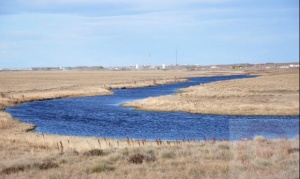 En el Día Nacional del Agua realizarán una jornada de análisis sobre el recurso