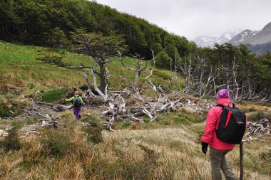 Bosques, lagos y montañas son los paisajes más valorados por los fueguinos