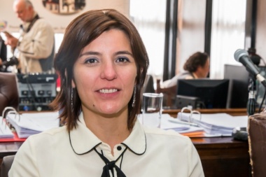 Carrasco: “La OIT fue clara al establecer que el derecho a huelga no es absoluto cuando estamos frente a situaciones de violencia”