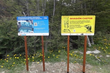 Argentina y Chile encaran restauración conjunta de ambientes afectados por el castor