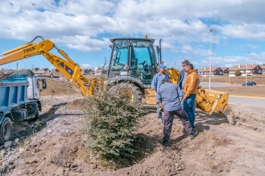 Nave Tierra: Plantaron árboles y arbustos retirados de la Urbanización San Martín