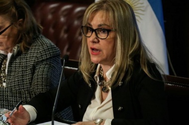Boyadjian: "Rechazaremos cualquier proyecto que perjudique a Tierra del Fuego"
