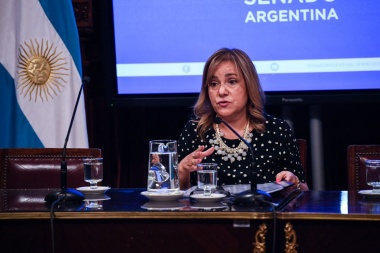 Boyadjian justificó su rechazo a la emergencia tarifaria: "Iba a perjudicar a los fueguinos"