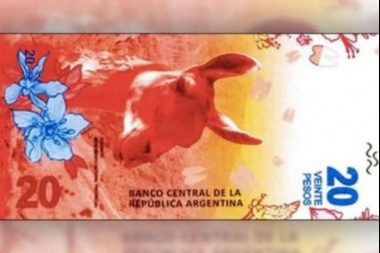 Cómo son los nuevos billetes de 20 pesos