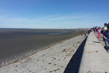 Después de un domingo a puro sol, calor y viento: cómo estará el clima en el arranque de semana