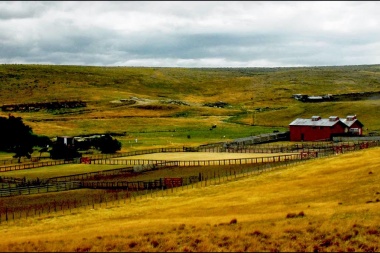Casi 90 mil hectáreas de tierras pertenecen a extranjeros en la Provincia