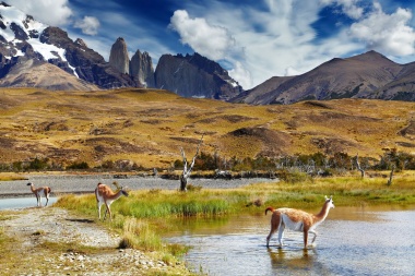 Chile firma acuerdo con conservacionistas para proteger parques en la patagonia