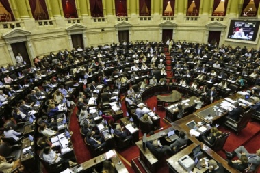 Tres si, uno no, y un indeciso: los votos fueguinos por el aborto
