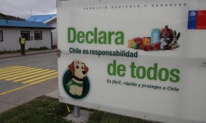 Autoridades chilenas piden realizar anticipadamente el trámite de control fronterizo