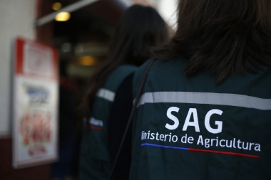 Frontera chilena: advierten sobre un paro que demora la circulación de vehículos