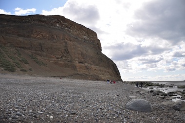 Cabo Domingo y Costa Norte, dos nuevas reservas naturales que se sumarán a Río Grande