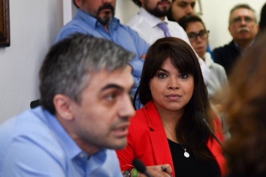 Proyecto antidoping: “Querer imponer no es la base de la democracia”, reprochó Duré