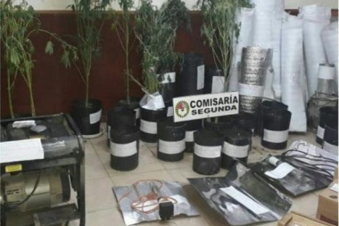 La Policía incautó plantas y semillas de marihuana en una vivienda de Río Grande