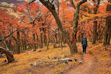 Pronóstico climático trimestral: este otoño se registrarán temperaturas y precipitaciones superiores a lo normal