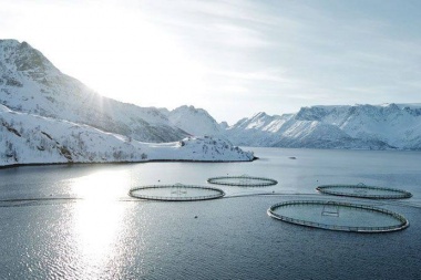 Especialistas renovaron sus críticas ante posible instalación de salmoneras en la provincia