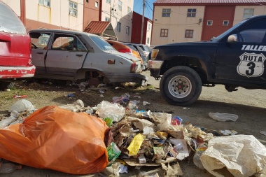 Continúa el operativo de limpieza en los patios internos del barrio Chacra IV