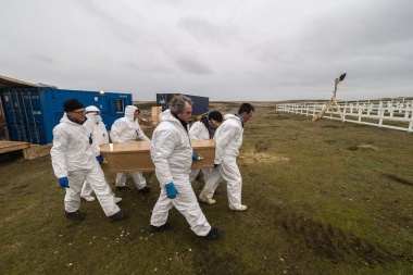 Antropólogos forenses retomarán los trabajos de identificación de soldados en Malvinas