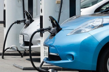 Destacan a Río Grande por exceptuar del pago de patentes a vehículos eléctricos