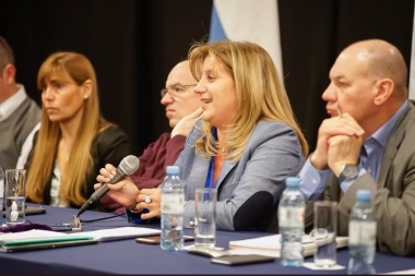 Voto electrónico en Tierra del Fuego: "Todavía no hemos evaluado el costo", dijo Martínez