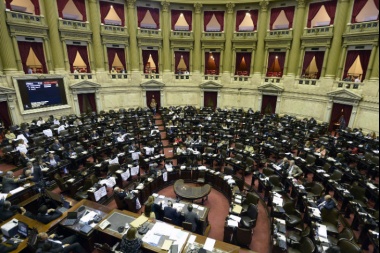 Diputados fueguinos se ubicaron entre los que canjearon menos cantidad de pasajes en 2017