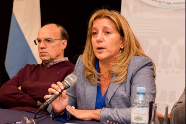 Voto electrónico: "No estamos votando ninguna ley y no estamos imponiendo nada"