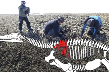 Descubren en la Antártida los restos de un lagarto gigante de hace 150 millones de años