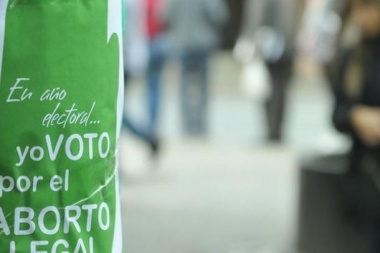En el Senado están los números para el rechazo al aborto legal: cómo votarán los senadores fueguinos
