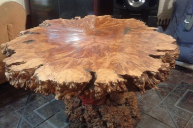 Se realizará la Muestra Nacional de Madera del Fin del Mundo