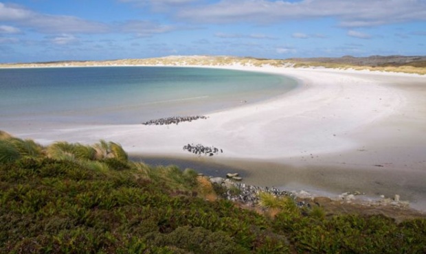 Bahía Yorke es un arco de arena blanca flanqueado por dunas coronadas con matorrales.