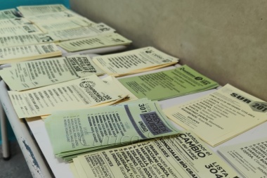 Republicanos sin bancas en los Concejos Deliberantes: Para la Justicia Electoral presentaron boletas verdes