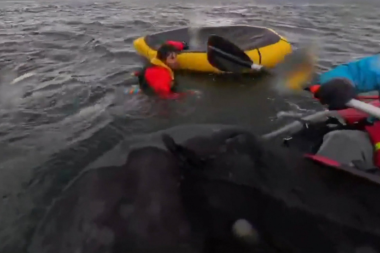 "Pensé que me había comido": habló el kayakista tragado por una ballena en el Estrecho de Magallanes