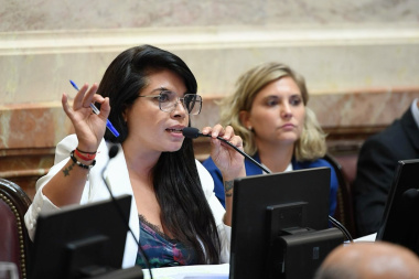 “El Gobierno de Milei tiene que explicar qué piensa hacer con la Ley de Promoción Industrial”