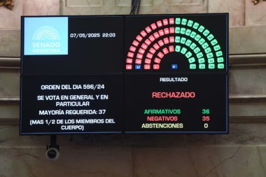 En un final inesperado y por un solo voto, el Senado rechazó el proyecto de ficha limpia