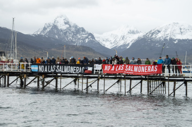 Legisladores analizarán proyectos libertarios para autorizar la instalación de salmoneras en Tierra del Fuego