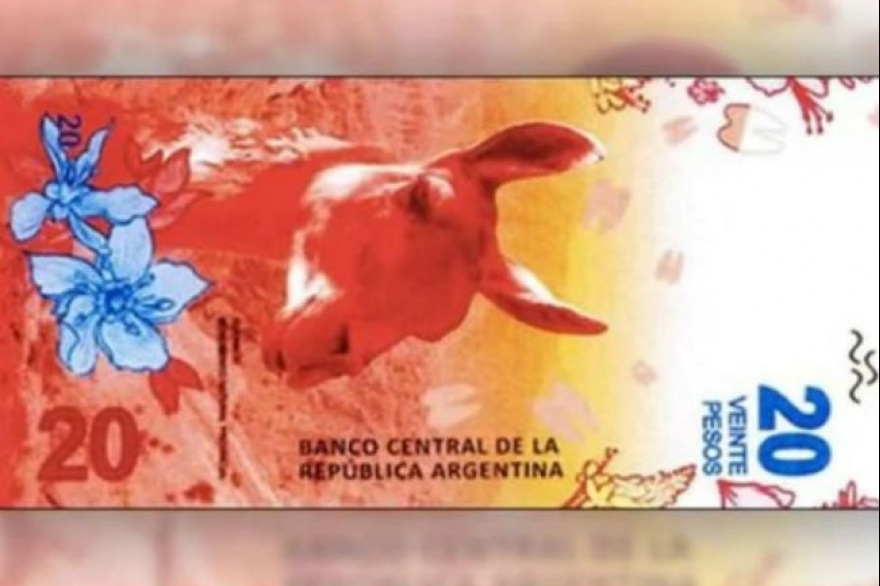 El anverso del nuevo billete de 20 pesos, con la imagen del guanaco, que continúa con el estilo Animales Autóctonos de Argentina.