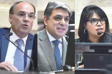Senadores fueguinos piden información al ministro Taiana por vuelos irregulares a Malvinas