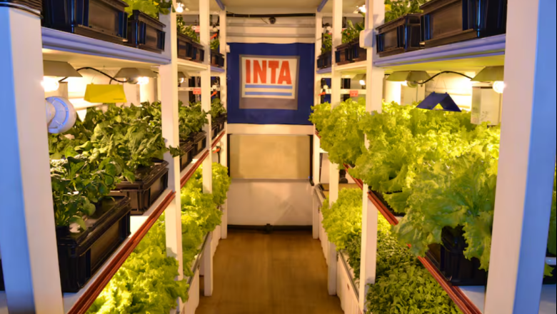 Verduras donde reina el frío extremo: la misión que cambió todo en tres bases argentinas de la Antártida