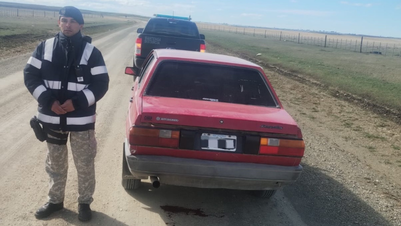 Tres hombres detenidos por cazar un guanaco y transportarlo en el baúl de su auto