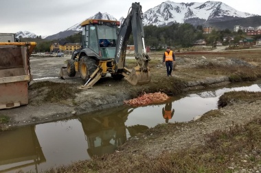 Retiraron centolla en descomposición de la costa del Canal Beagle