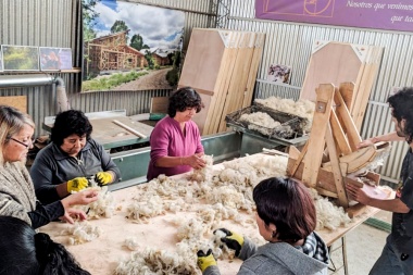 Lana para aislar viviendas, la innovadora propuesta de una cooperativa en Neuquén