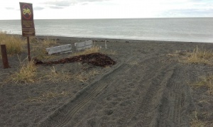 Por vandalismo en Punta Popper deciden implementar guardias los fines de semana