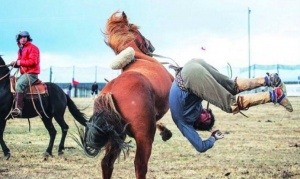 Fueguino internado en Chile tras ser pateado por caballo durante jineteada